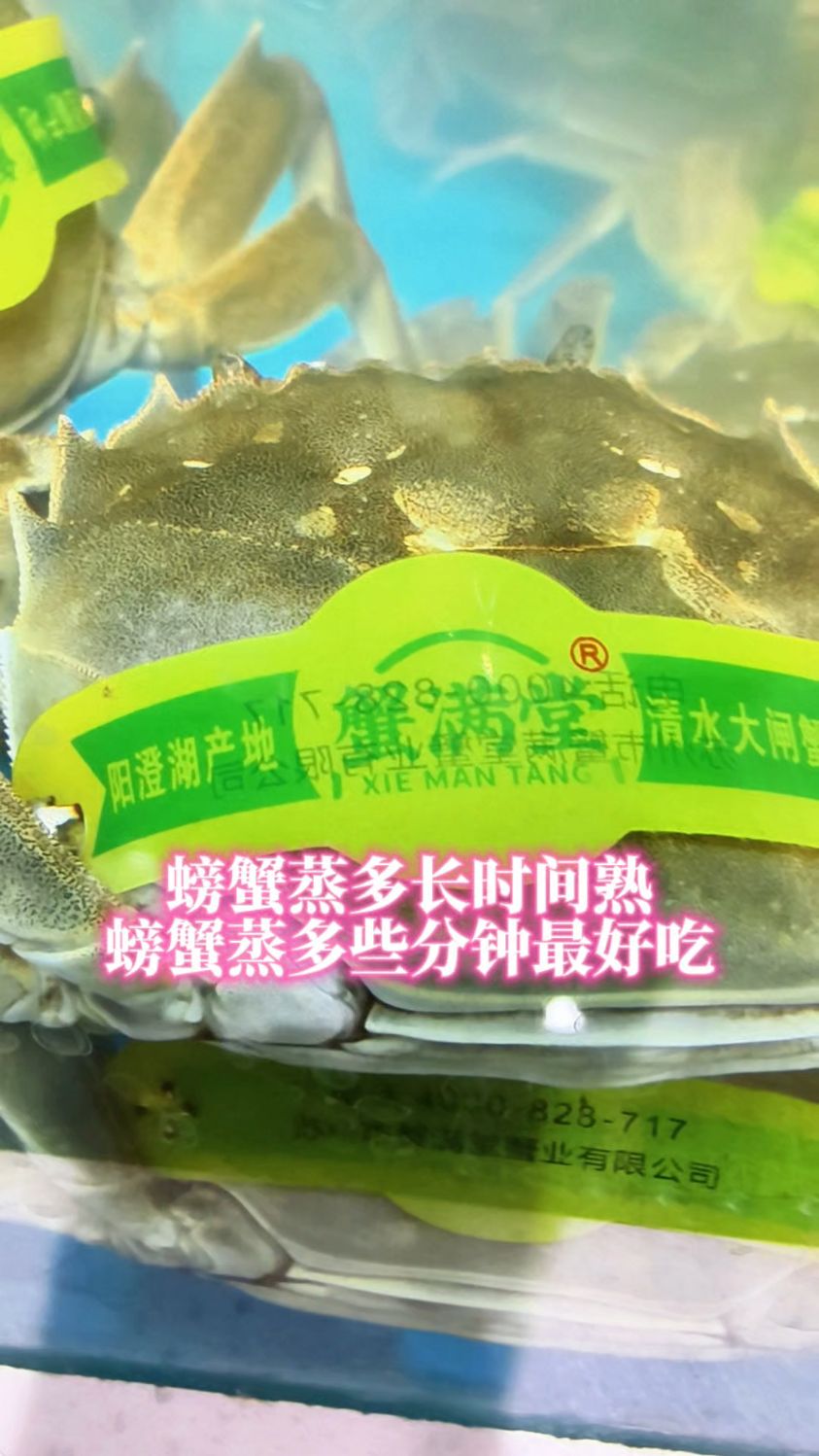 螃蟹蒸多长时间熟啊?螃蟹蒸多些分钟最好吃?#螃蟹蒸法 #螃蟹