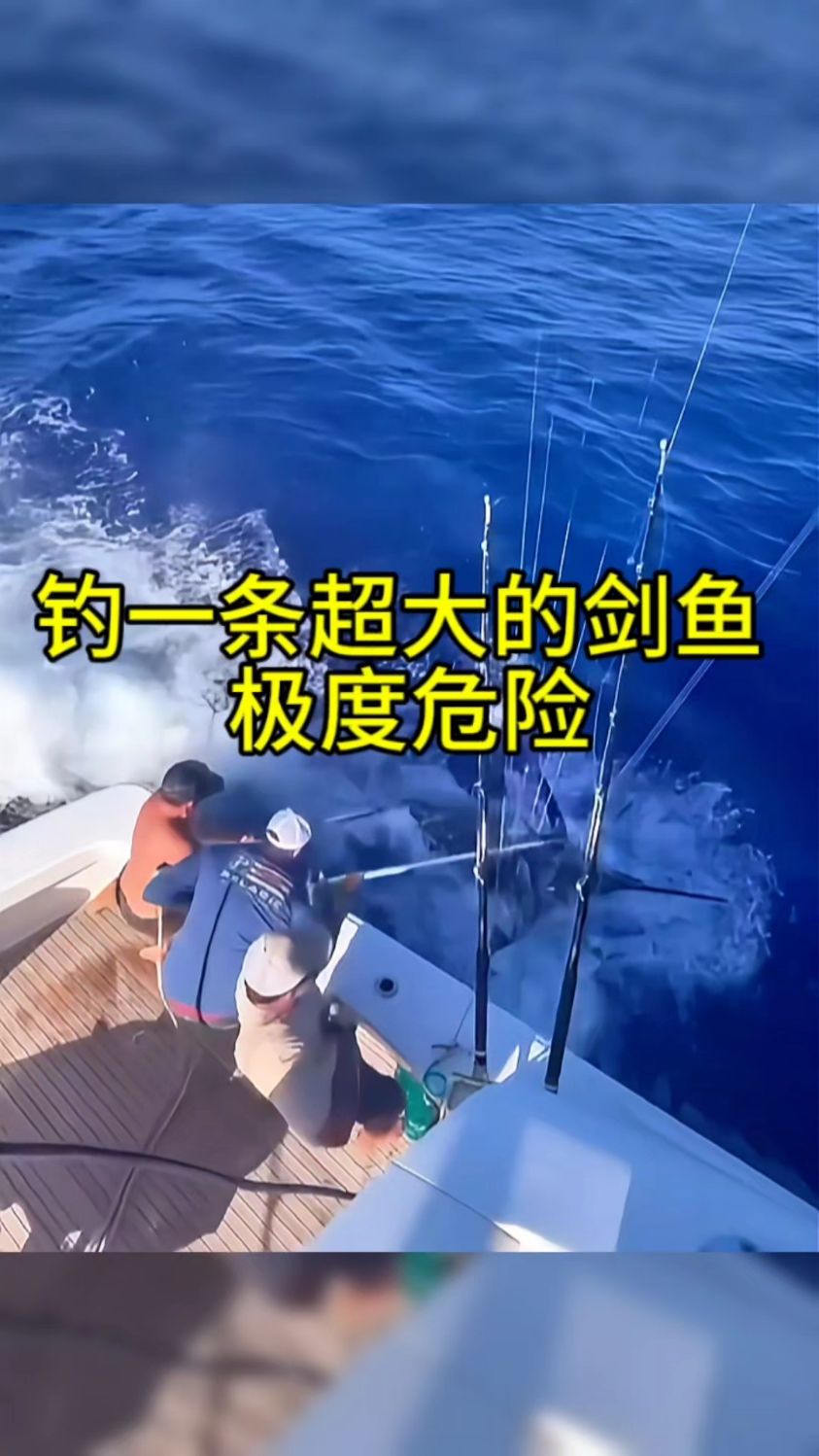 钓一条超大的剑鱼,过程极为凶险!