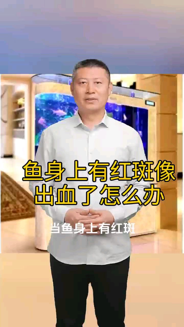 鱼身上有红斑像出血了怎么办