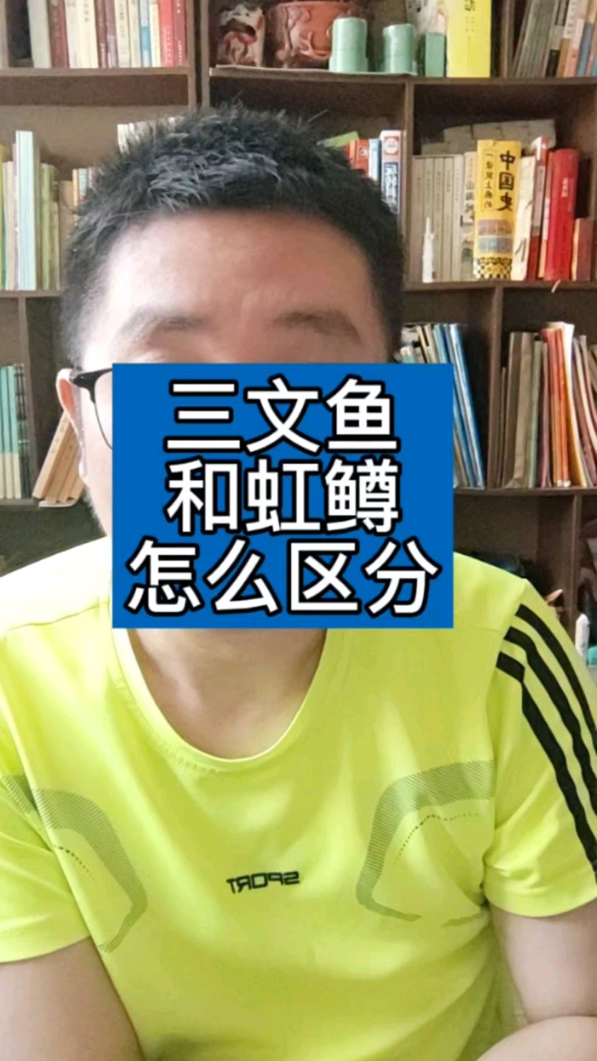 虹鳟到底是不是三文鱼,怎么区分?