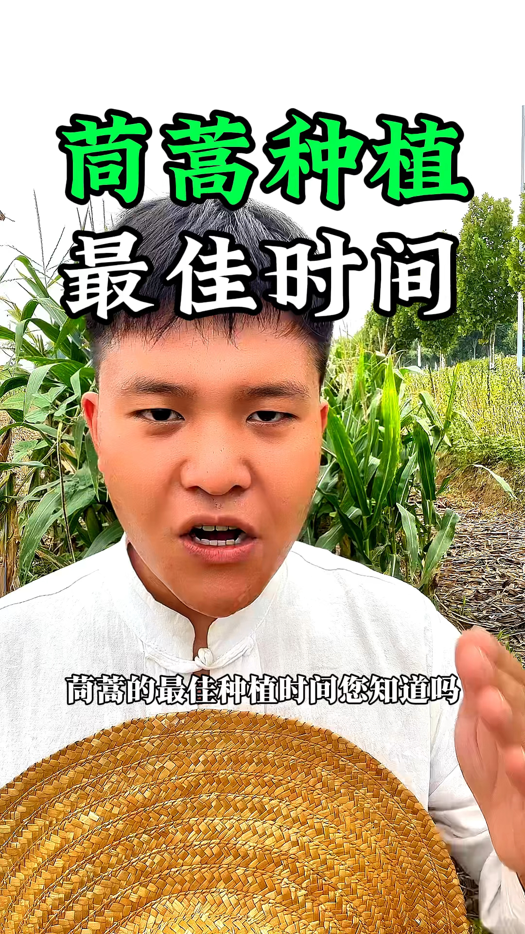 茼蒿的最佳种植时间您知道是什么时候吗