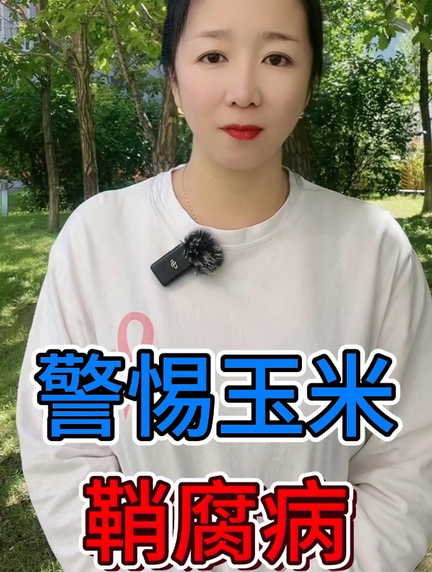 警惕玉米 鞘腐病