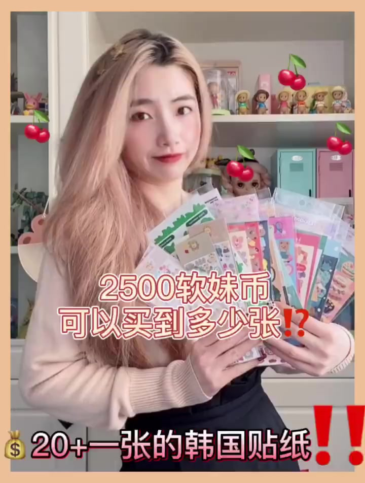2500可以买到多少韩国贴纸