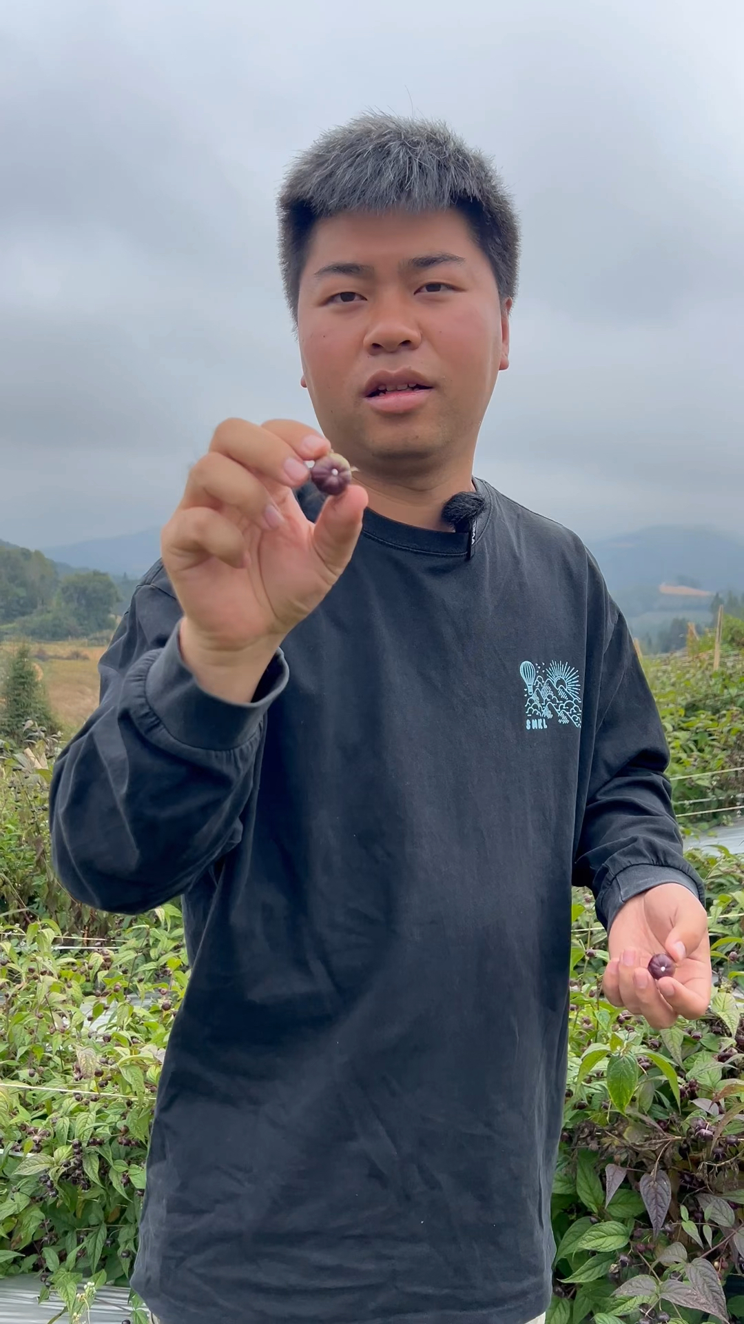 云南的一种野生水果