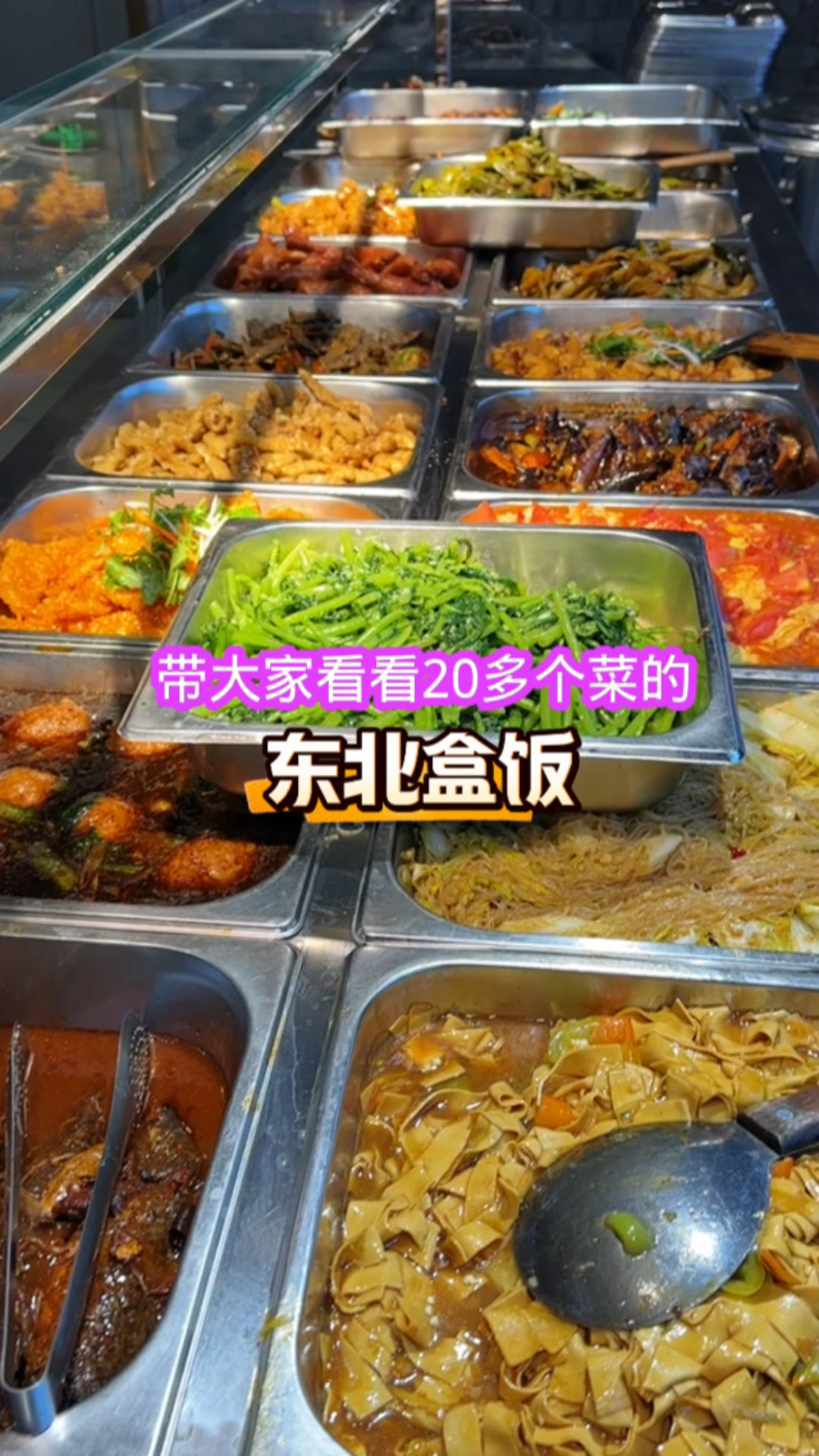 带大家看看20多个菜的东北盒饭