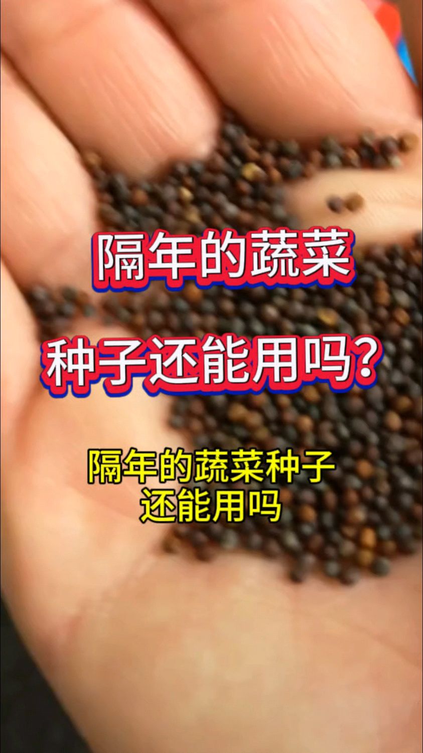 隔年的蔬菜种子还能用吗?