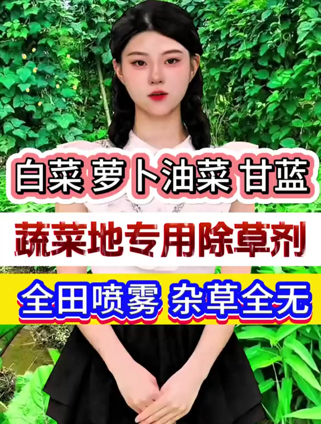 白菜、萝、油菜、甘蓝、蔬菜地专用除草剂,全天喷雾杂草全无!