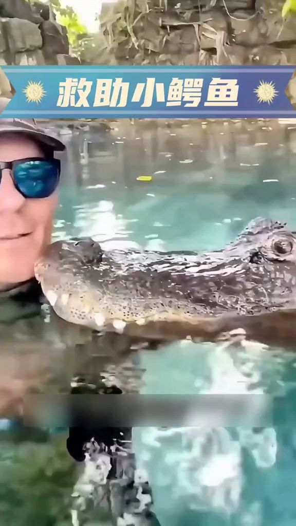 男子救了一只小鳄鱼,长大后没想到鳄鱼会这么温柔