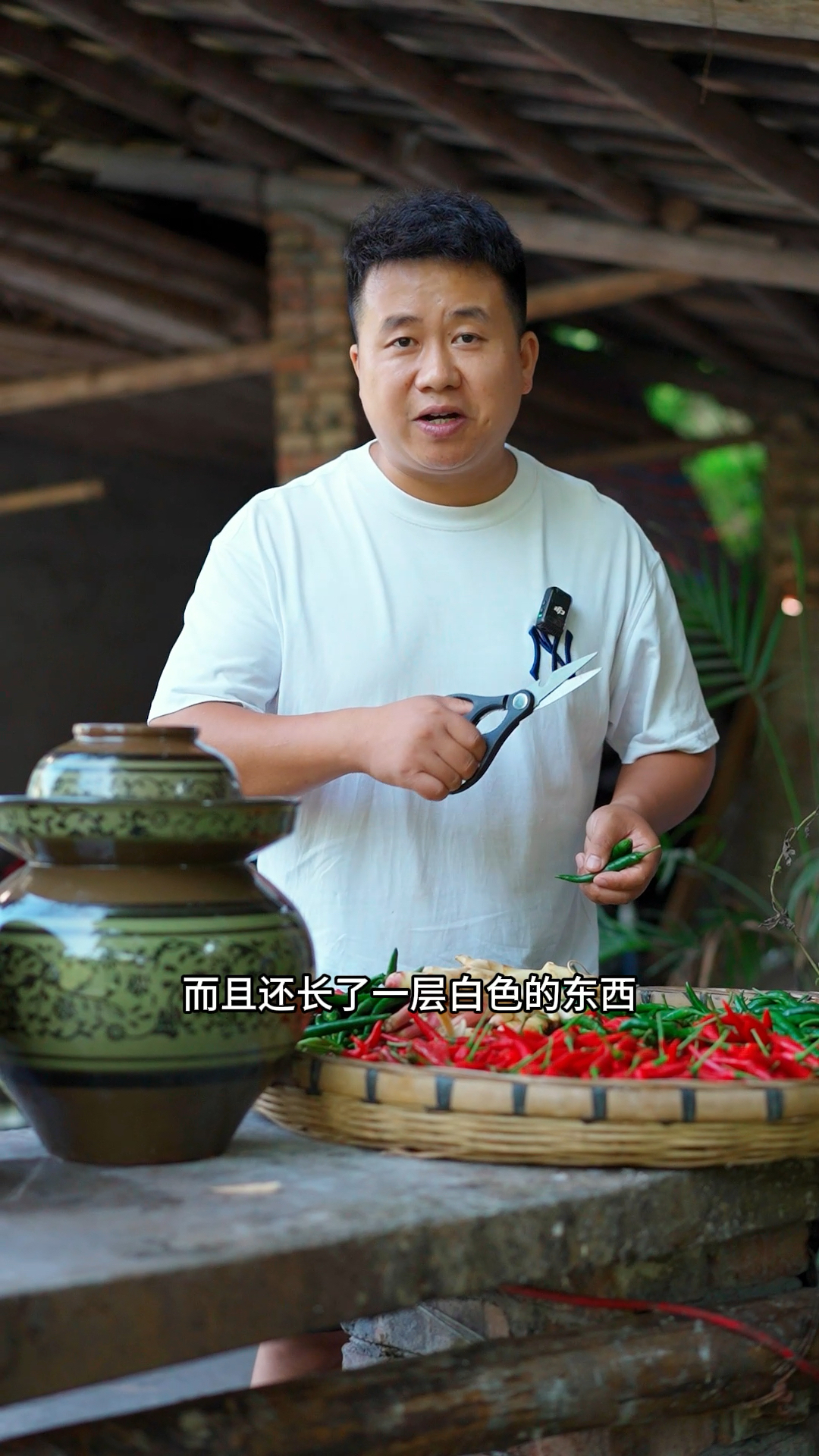 传统的四川泡菜做法,做好了泡菜一定要放阴暗潮湿处!