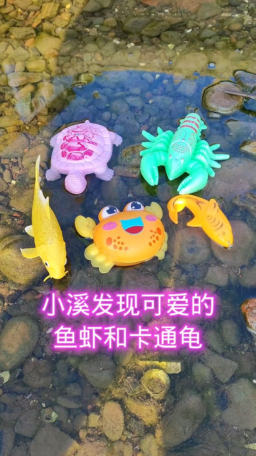 小溪发现可爱的鱼虾和卡通龟