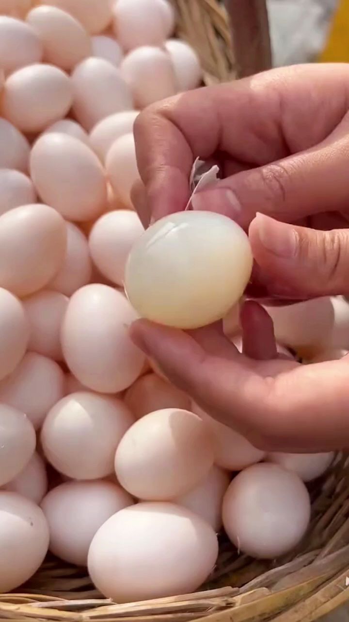 新鲜的鸽子蛋,蛋白口感Q弹,蛋黄细腻不噎人 #鸽子蛋 #三农