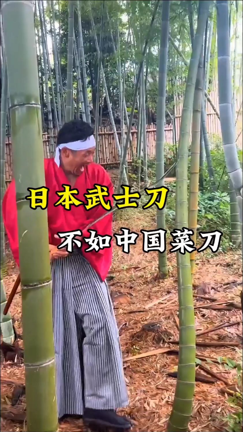这就是为什么 日本武士刀不如中国菜刀好的原因 #日本武士刀 #唐刀