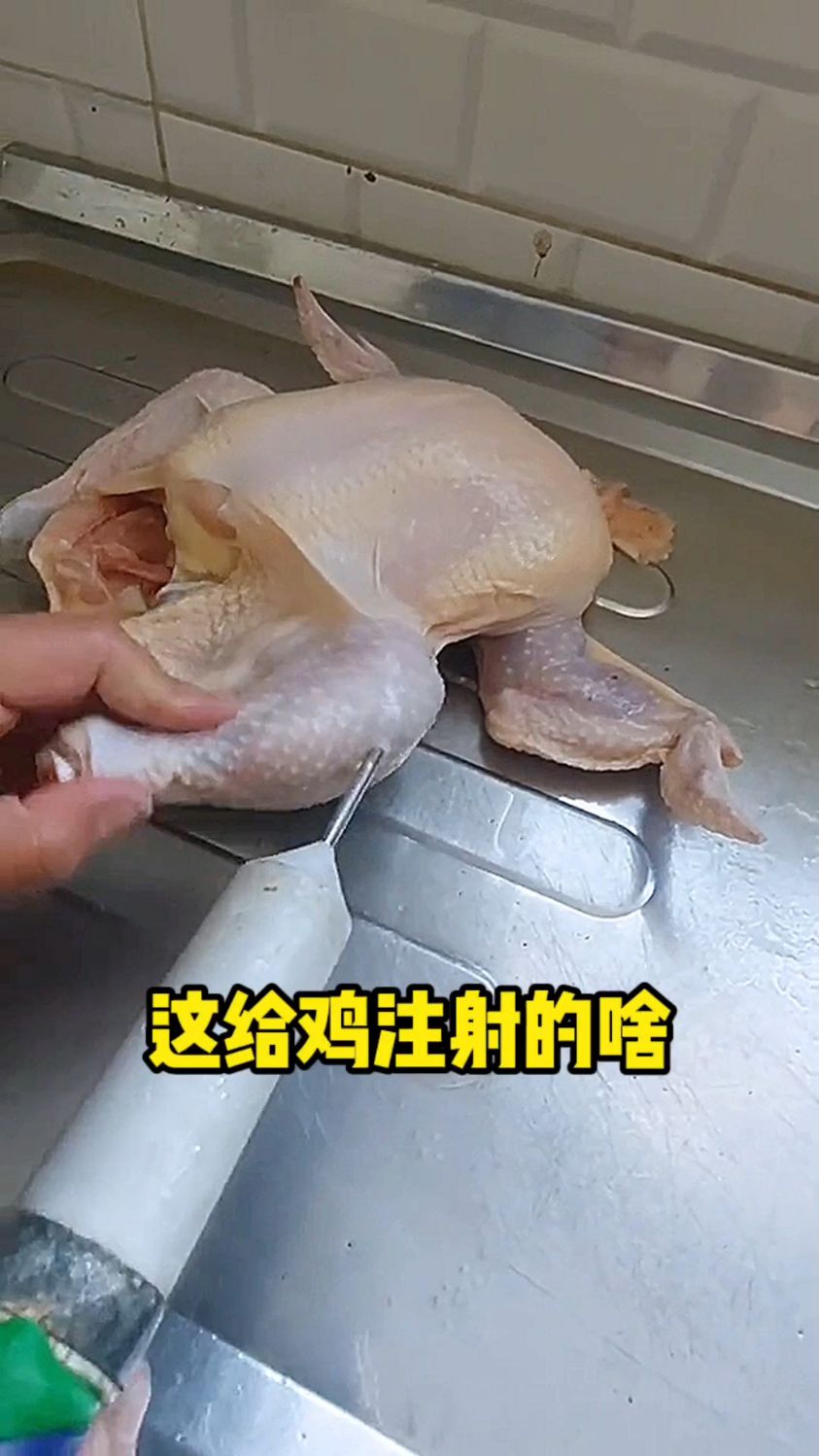 这给鸡注射的啥?