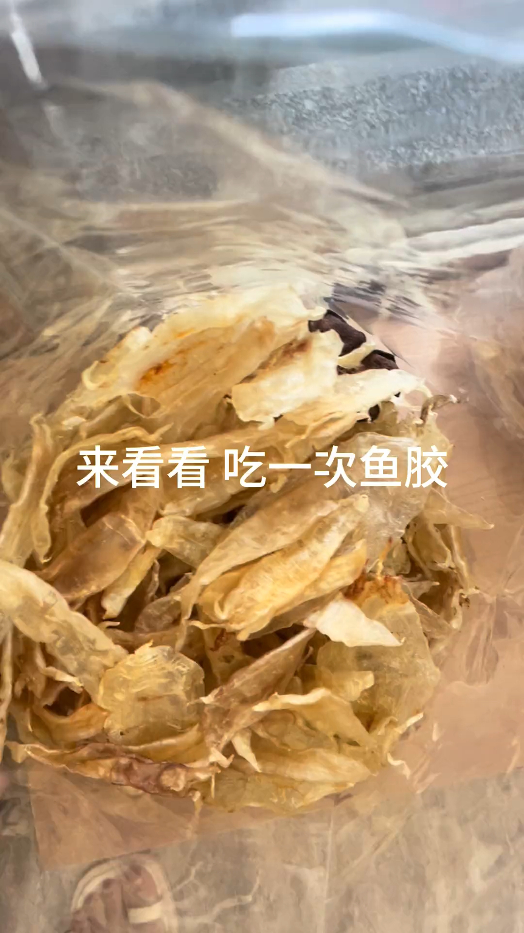吃一次鱼胶大概要多少钱