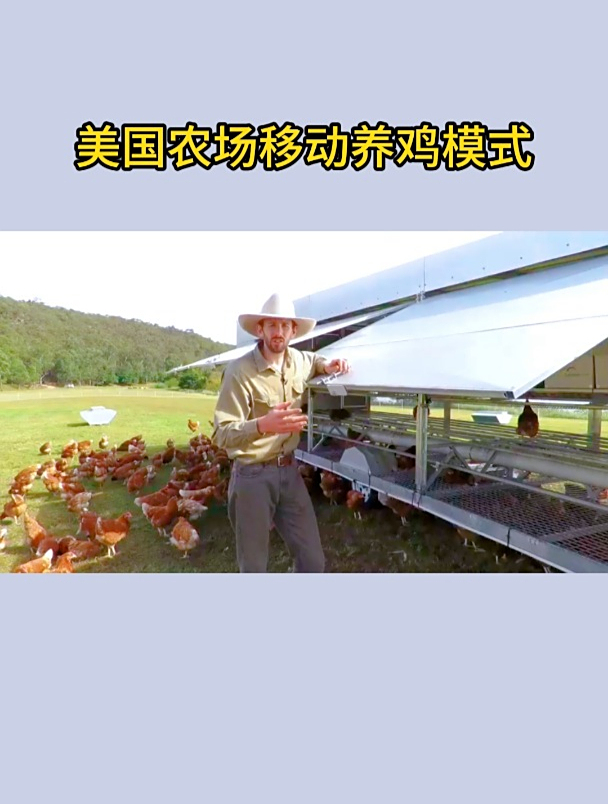 哪里有草,就将移动养鸡车拉到哪里,实现灵活养鸡!