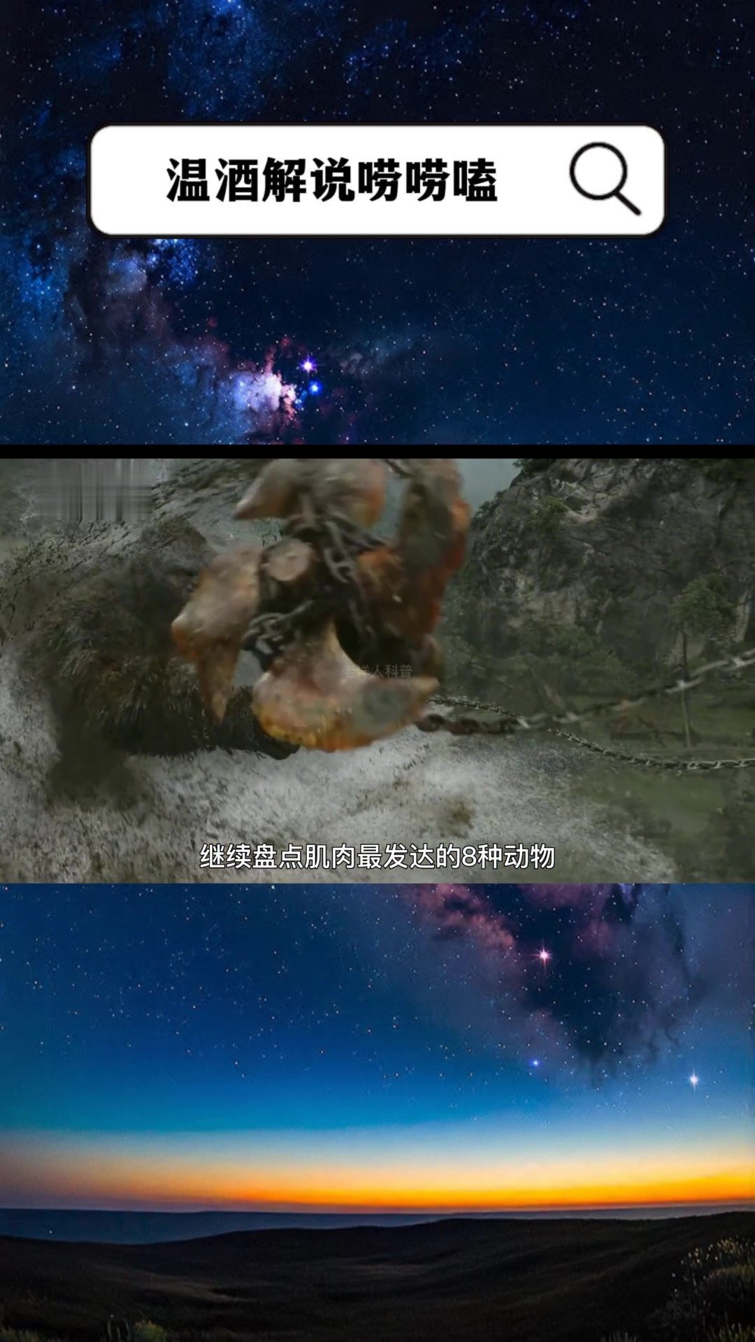 盘点肌肉最发达的八种动物,看看你都见过几个?