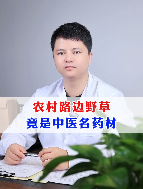农村路边野草竟是中医名药材