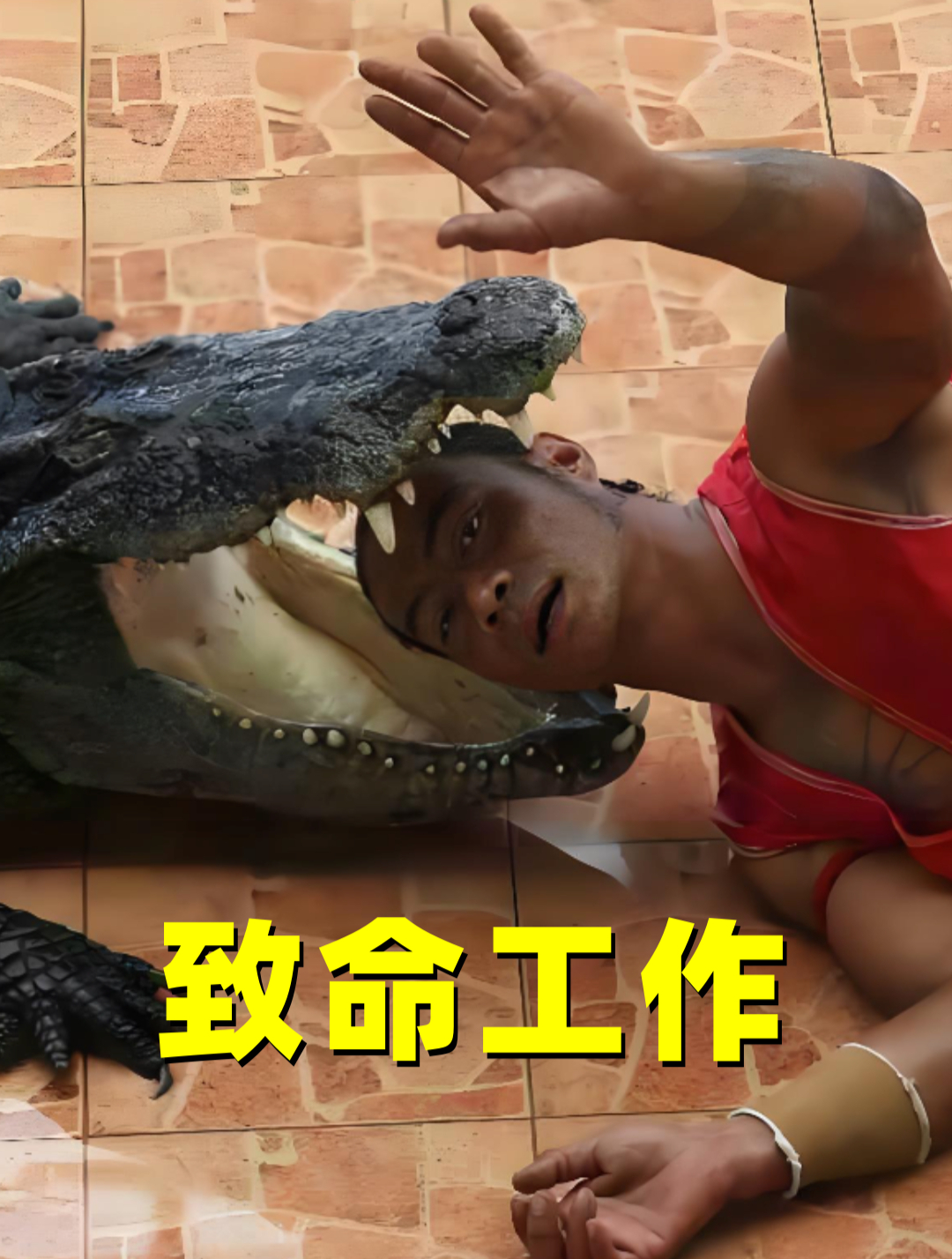 泰国最致命的工作,把头伸进鳄鱼嘴里表演,一天工资却仅4英镑