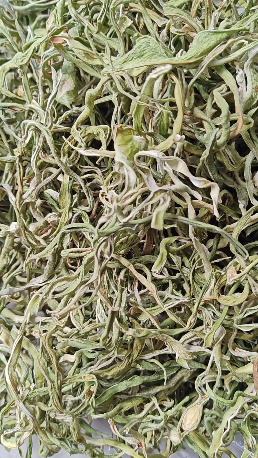 东北农村自家小菜园种的大油豆晾晒的新干豆角丝,炖鸡炖肉嘎嘎香