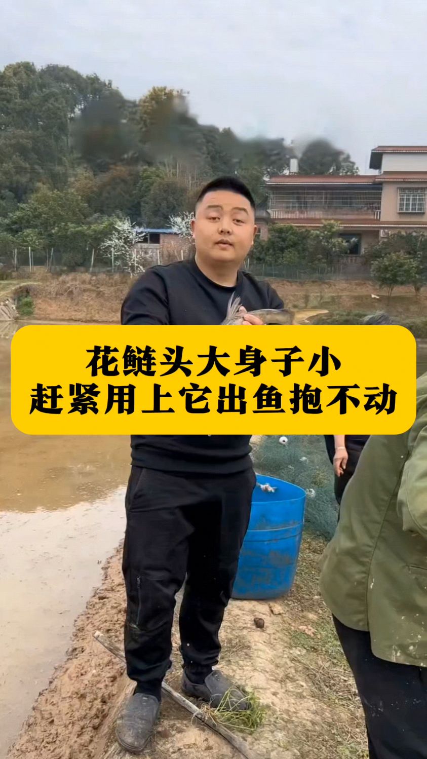 花鲢头大身子小赶紧用上它