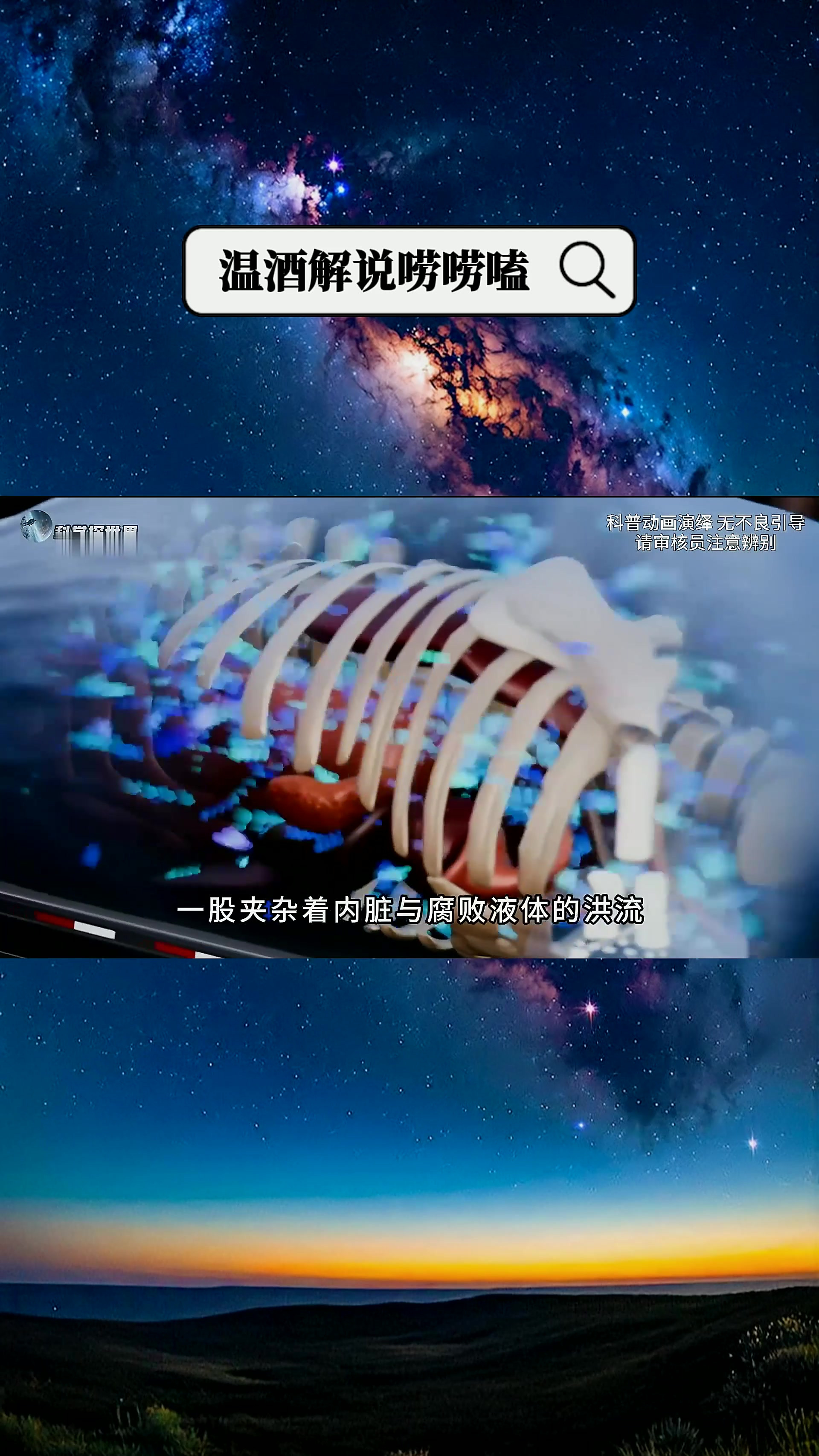 搁浅鲸鱼突然爆炸,内脏飞散伤人,这到底是什么原因?