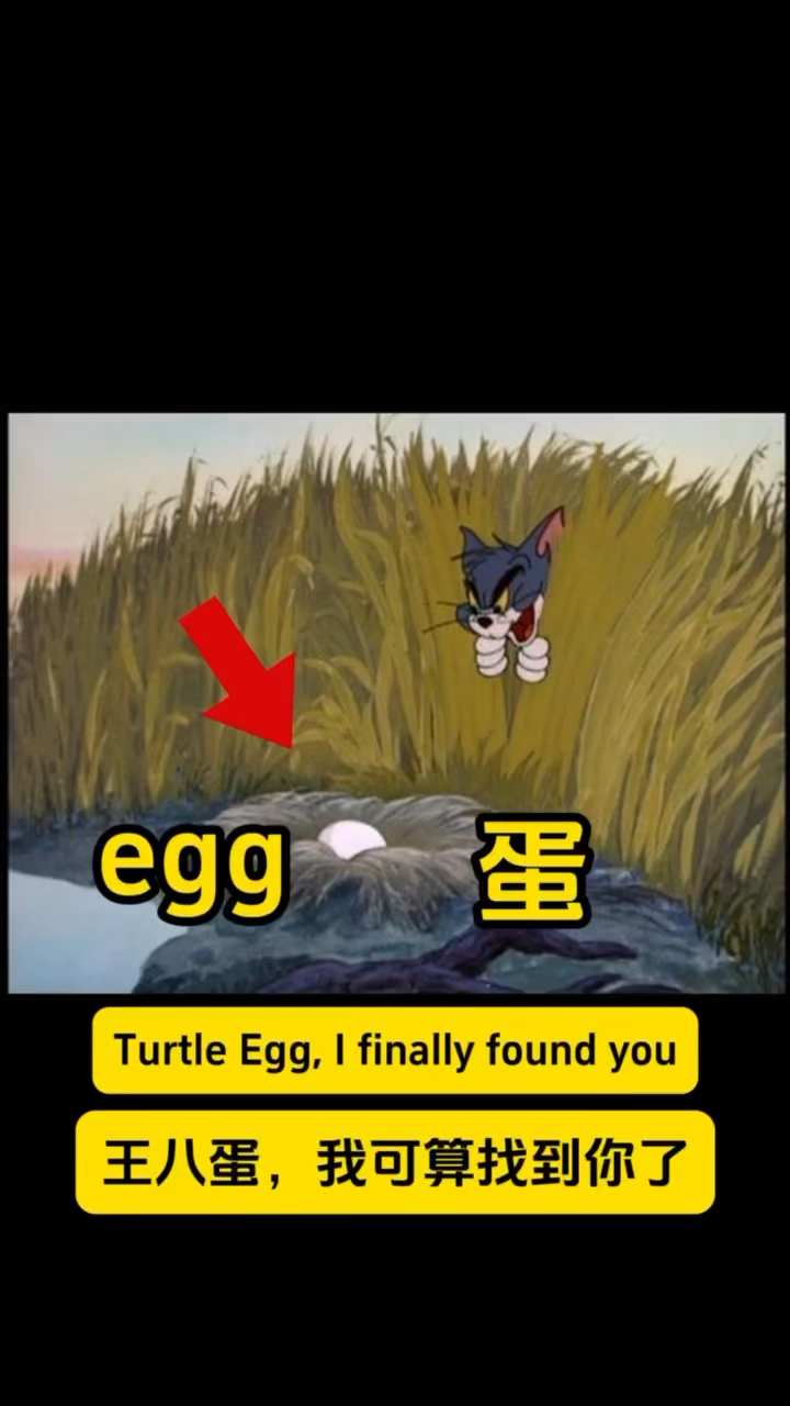 猫和老鼠学英语:看看汤姆发现了什么