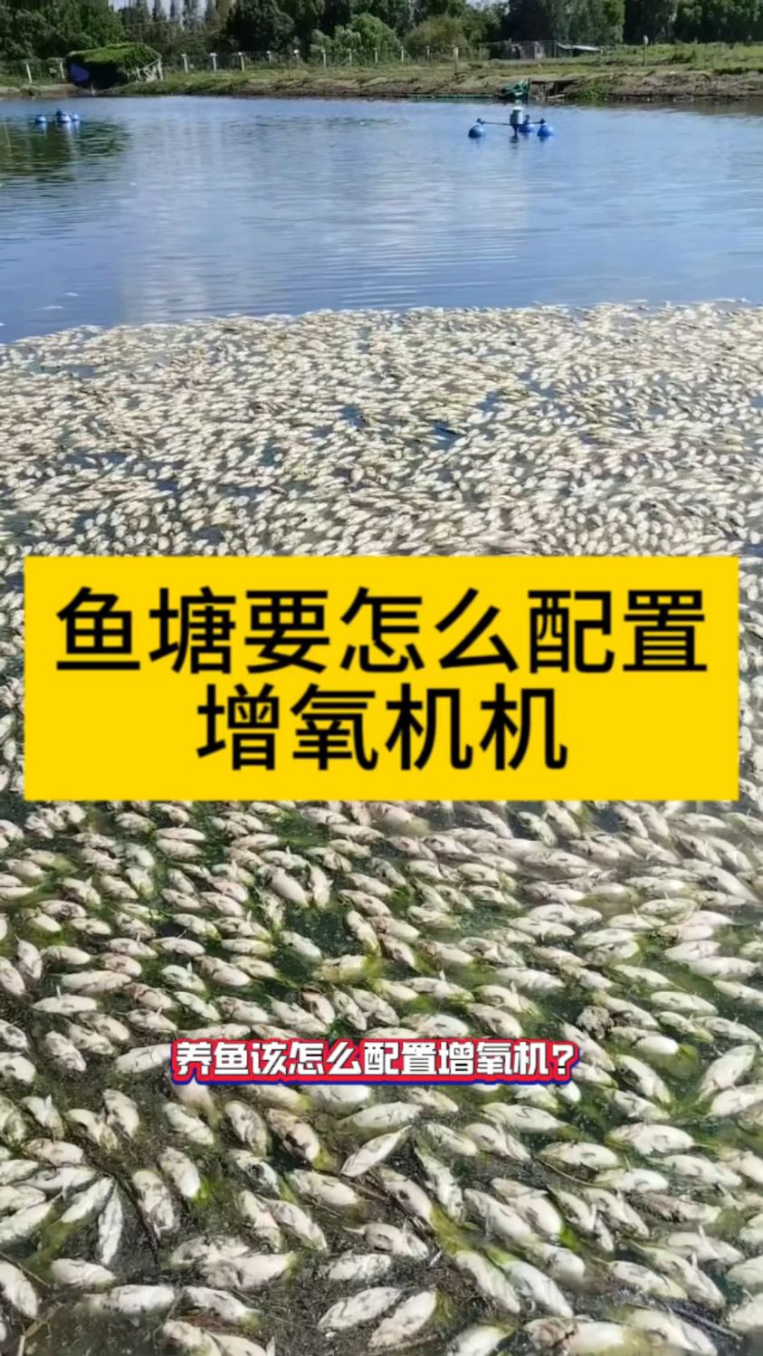 鱼塘怎么配置增氧机