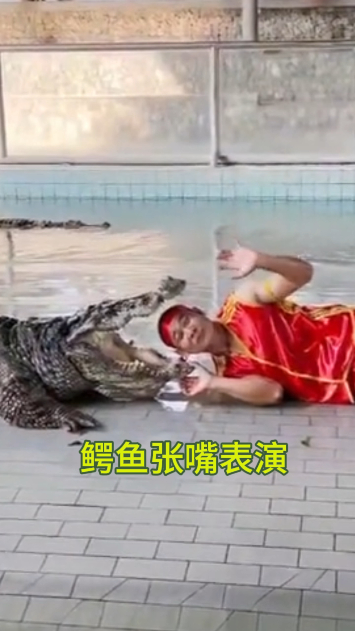 鳄鱼张开嘴巴的原因是什么呢?