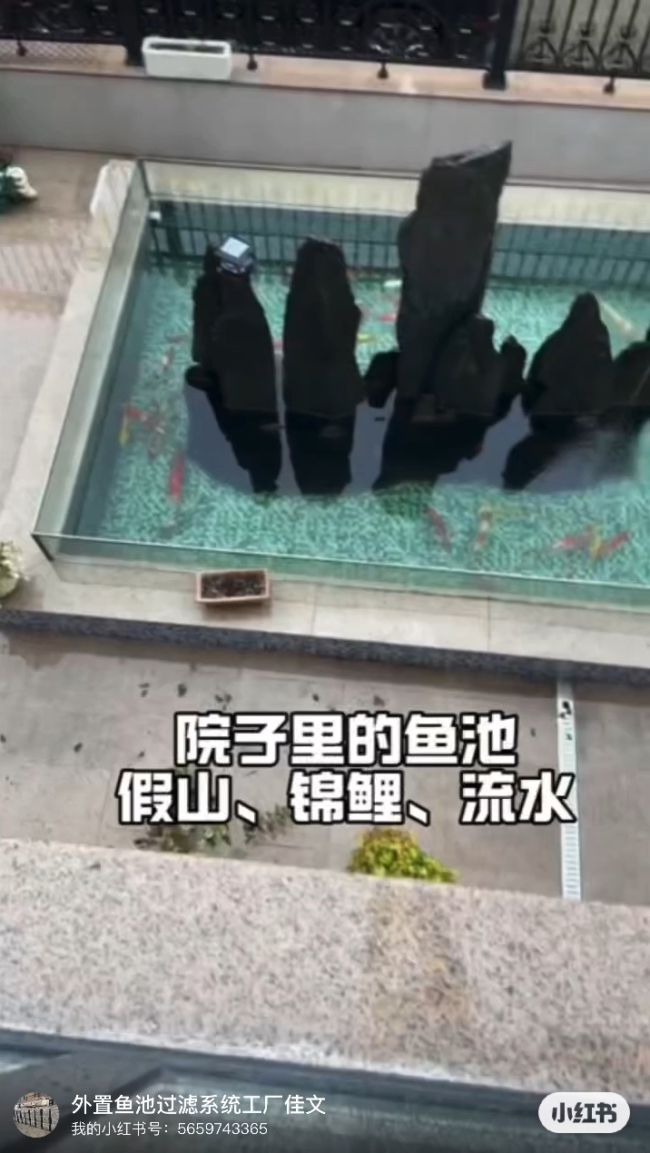 庭院假山锦鲤鱼池用外置过滤后