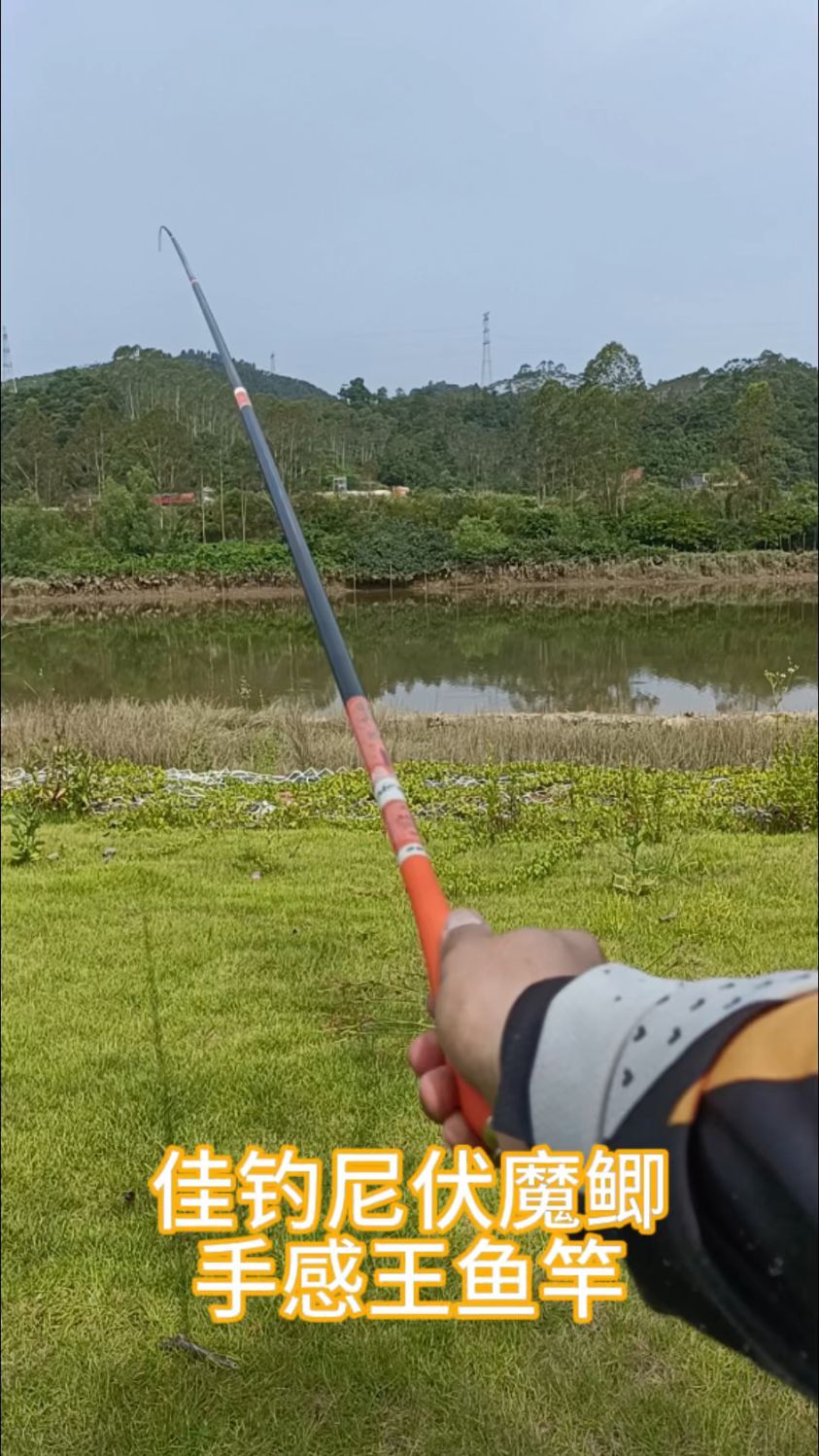 佳钓尼伏魔鲫手感王鲫鱼竿,37调性,专为钓鲫鱼设计