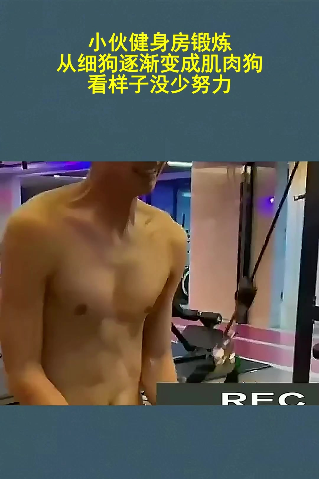 小伙健身房锻炼,从细狗逐渐变成肌肉狗,看样子没少努力!