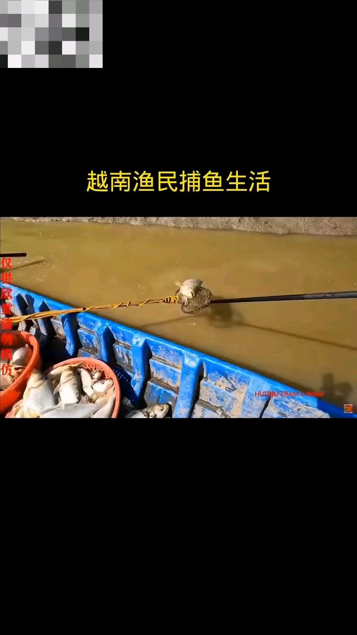 大功率捕吸鱼后级脉冲机头吸鱼后极机头电子船用深水逆变机