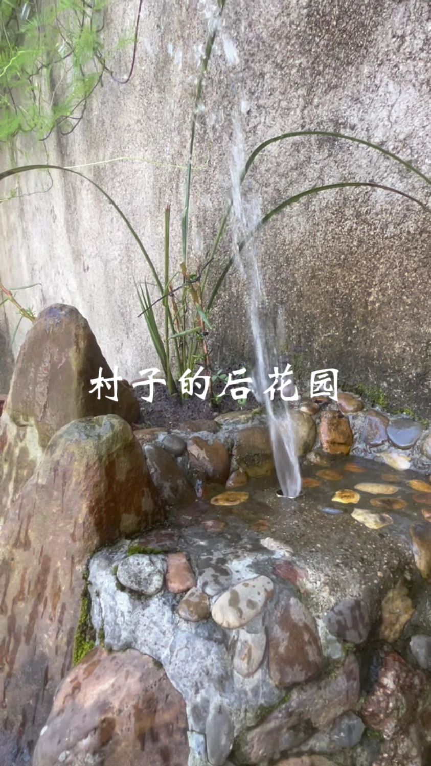 农村的后花国,有假山,有鱼池