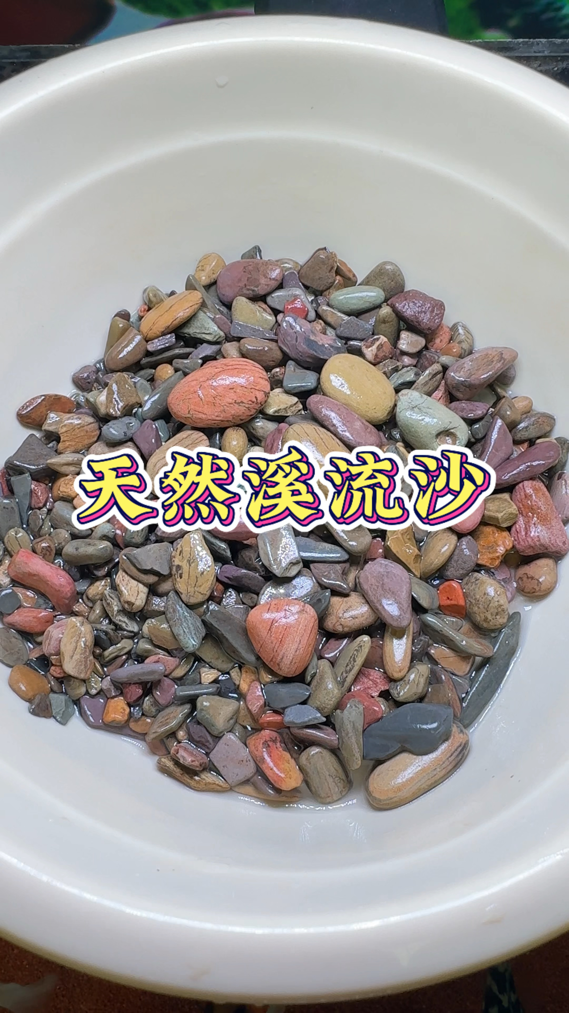 鱼缸底沙用什么好 百看不腻的 还得是原生溪流沙#溪流沙#鱼缸造景