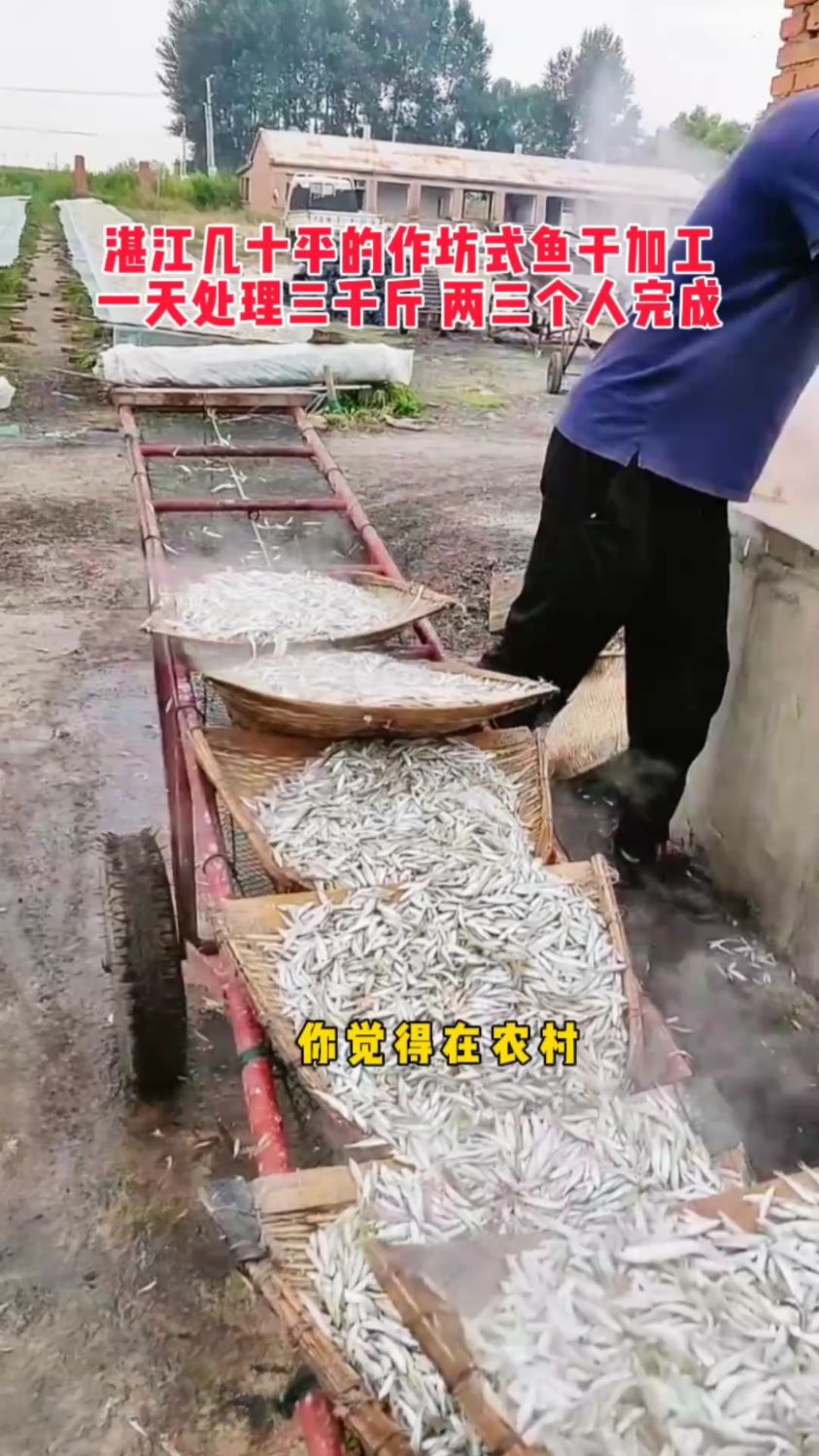 鱼干烘干机,小鱼烘干机,海鲜烘干机