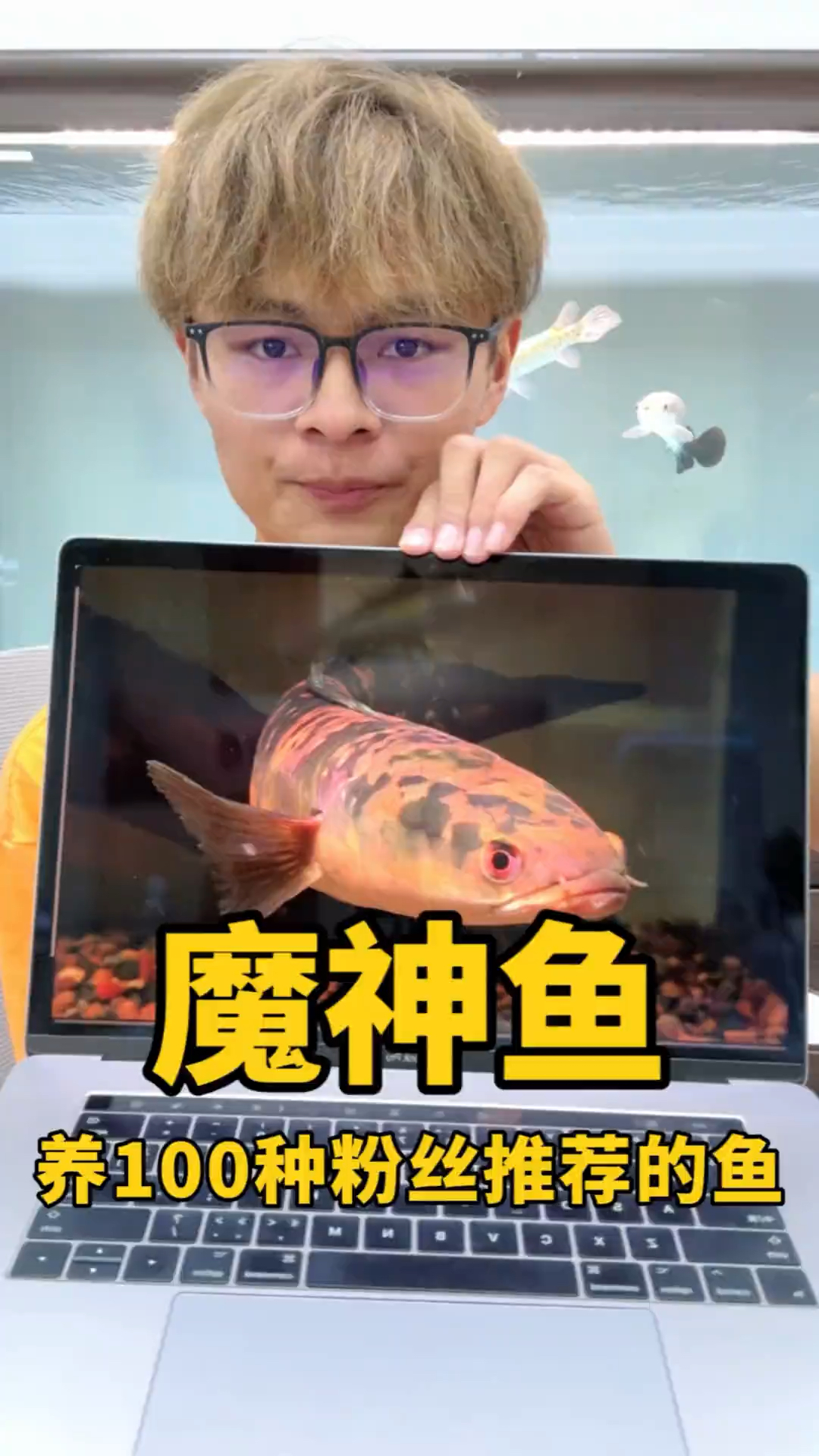 挑战养粉丝推荐的100种鱼——魔神鱼