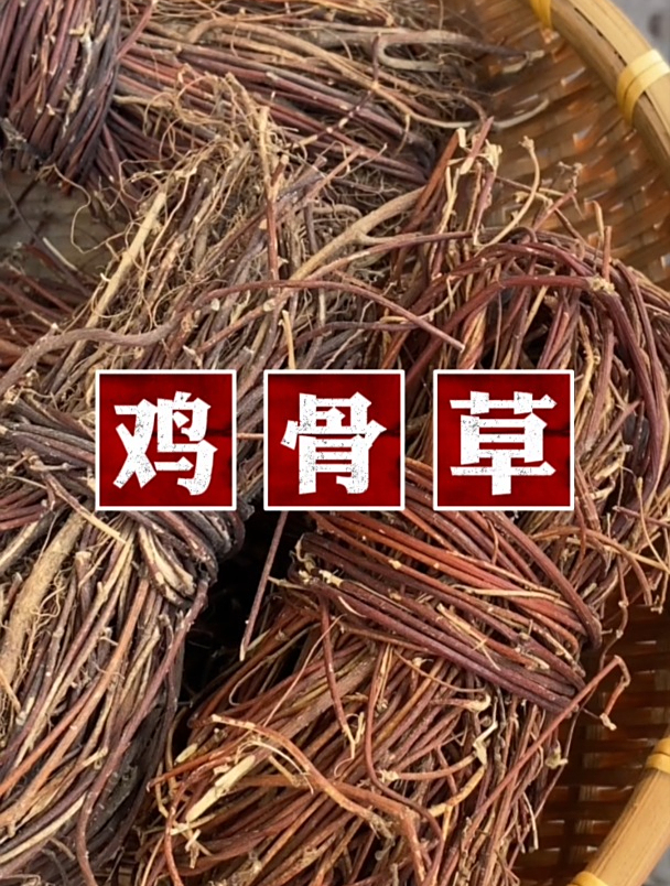 鸡骨草要怎样采收保存呢?