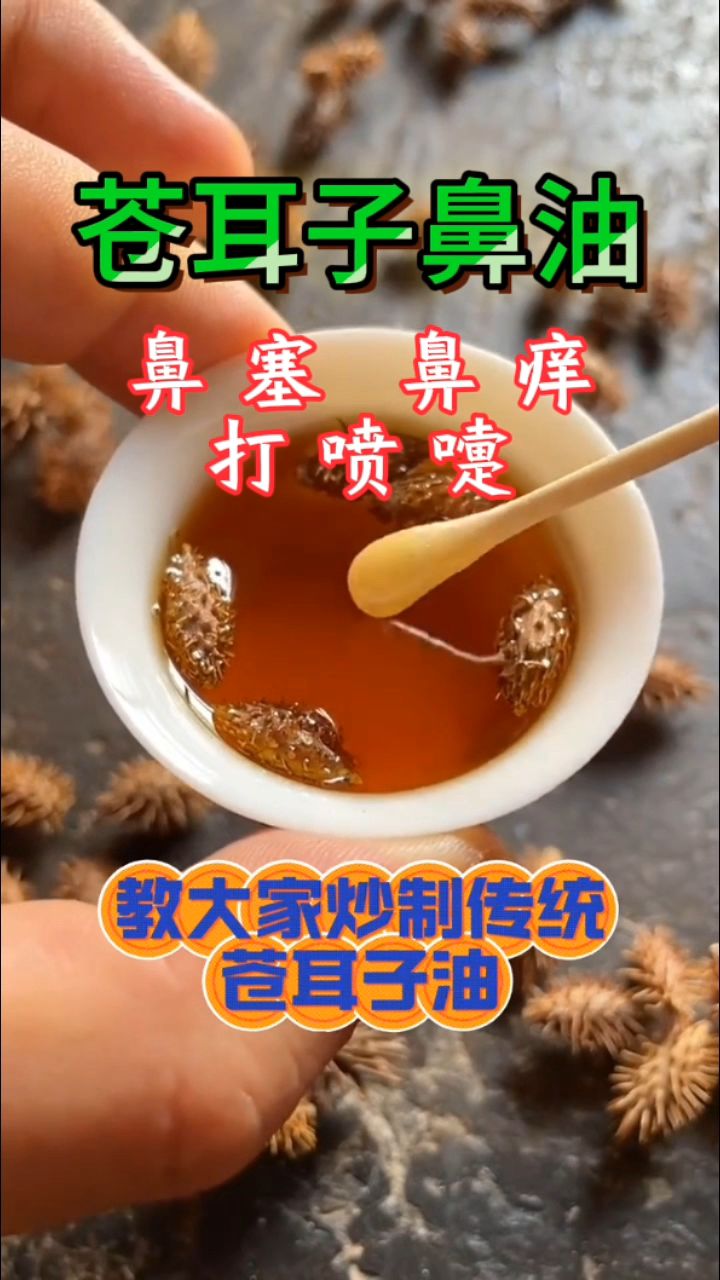 流传至今终有用,苍耳子鼻油你知道吗?