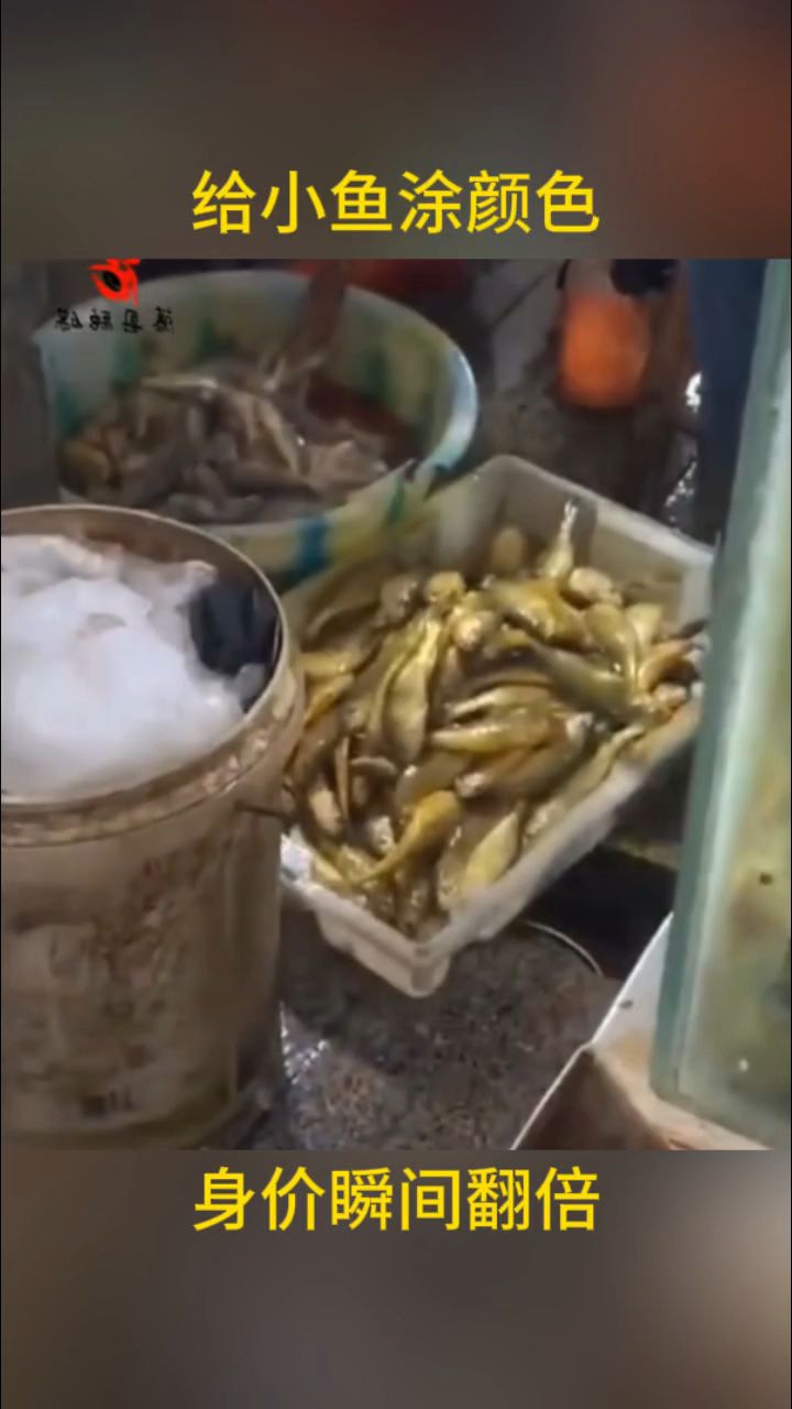 给小雨涂颜色,身价瞬间翻倍