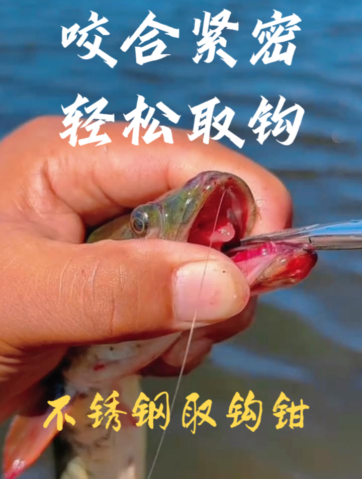 钳子伸入鱼嘴轻轻一夹就能取出鱼钩,不伤子线不伤鱼经久耐用