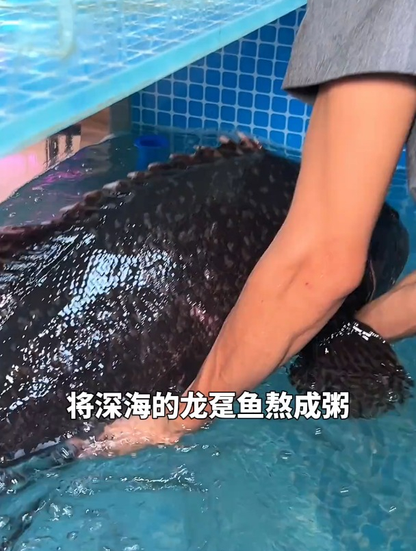 海口也有能吃到深海龙趸鱼粥和闽南菜了!