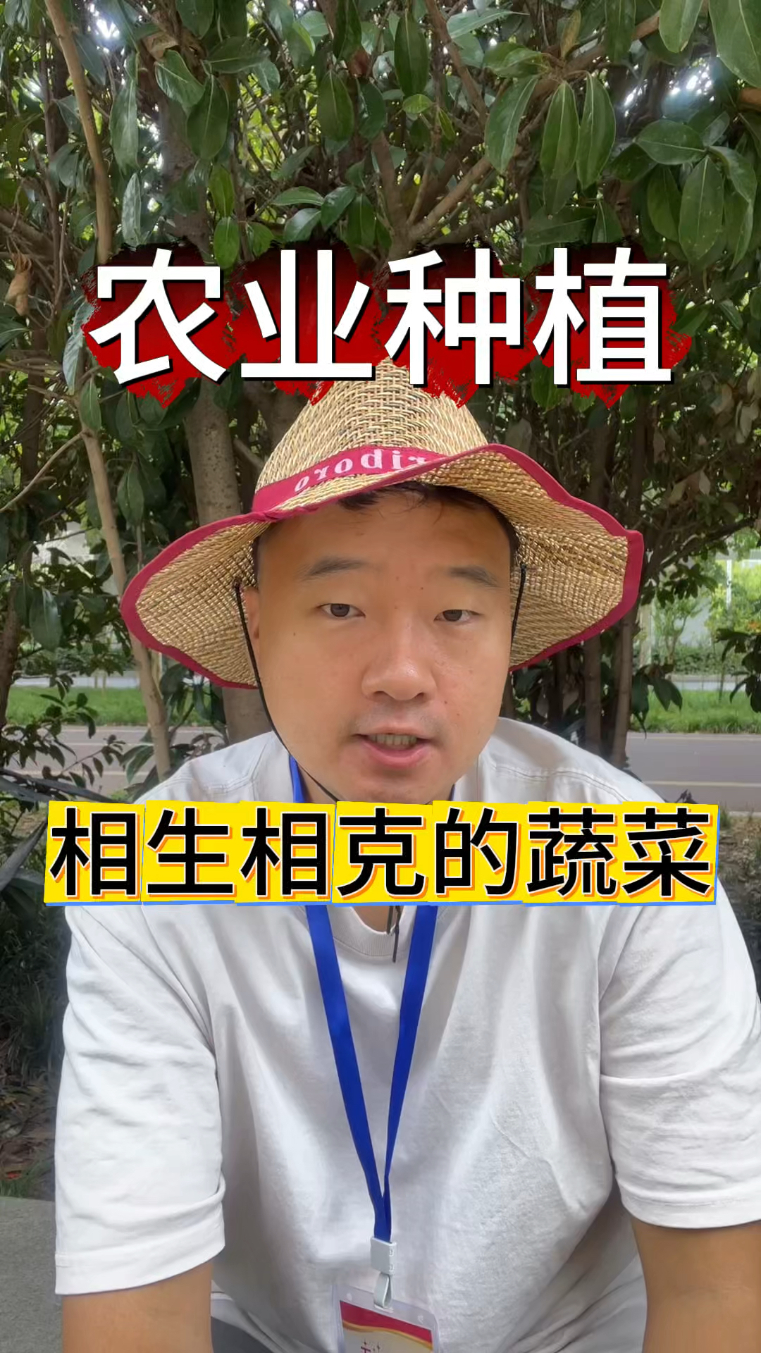 相生相克的蔬菜都有哪些
