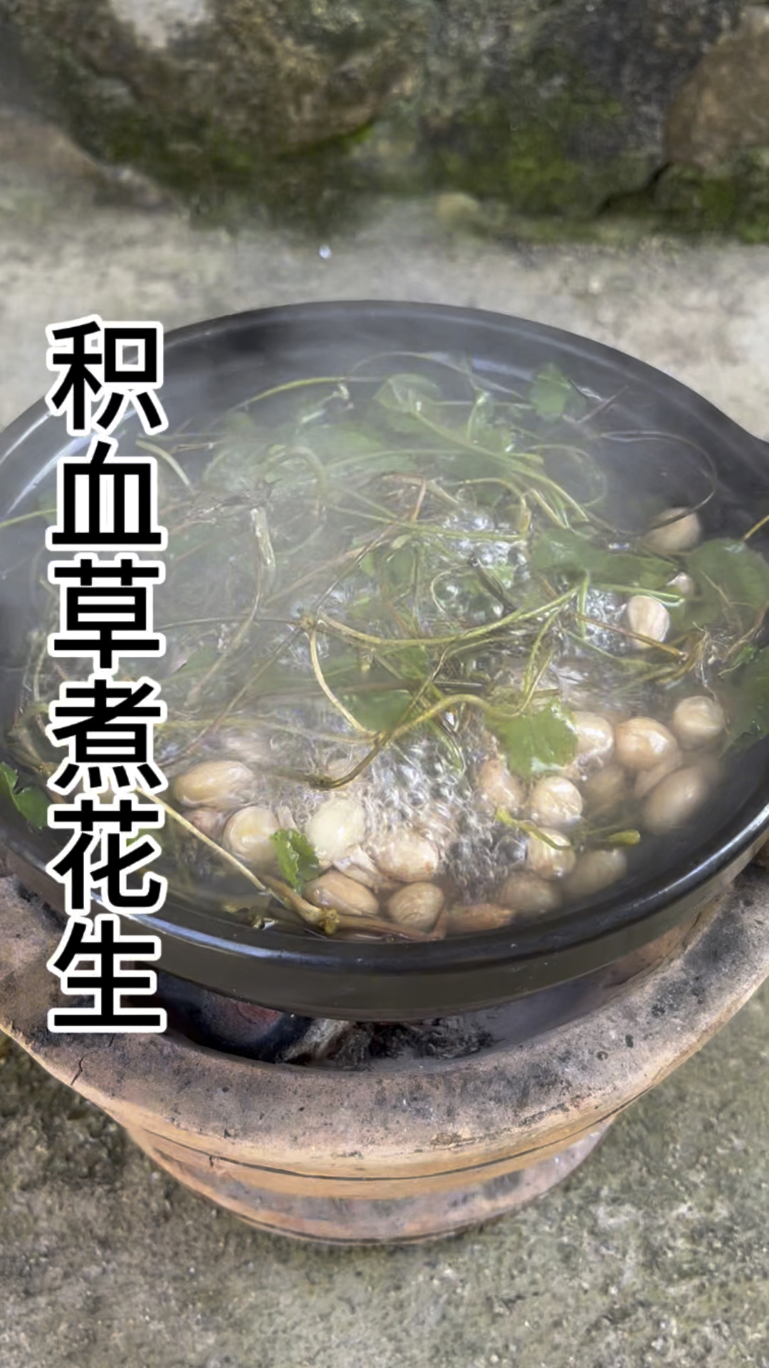 积雪草加一物,眼中有退路,老奶奶的土办法,帮助过很多人