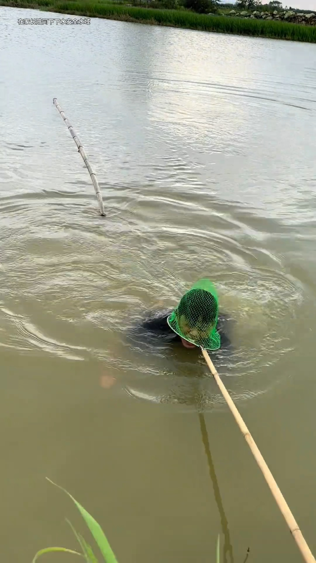 老哥怎么抄网,把我给抄起来了!