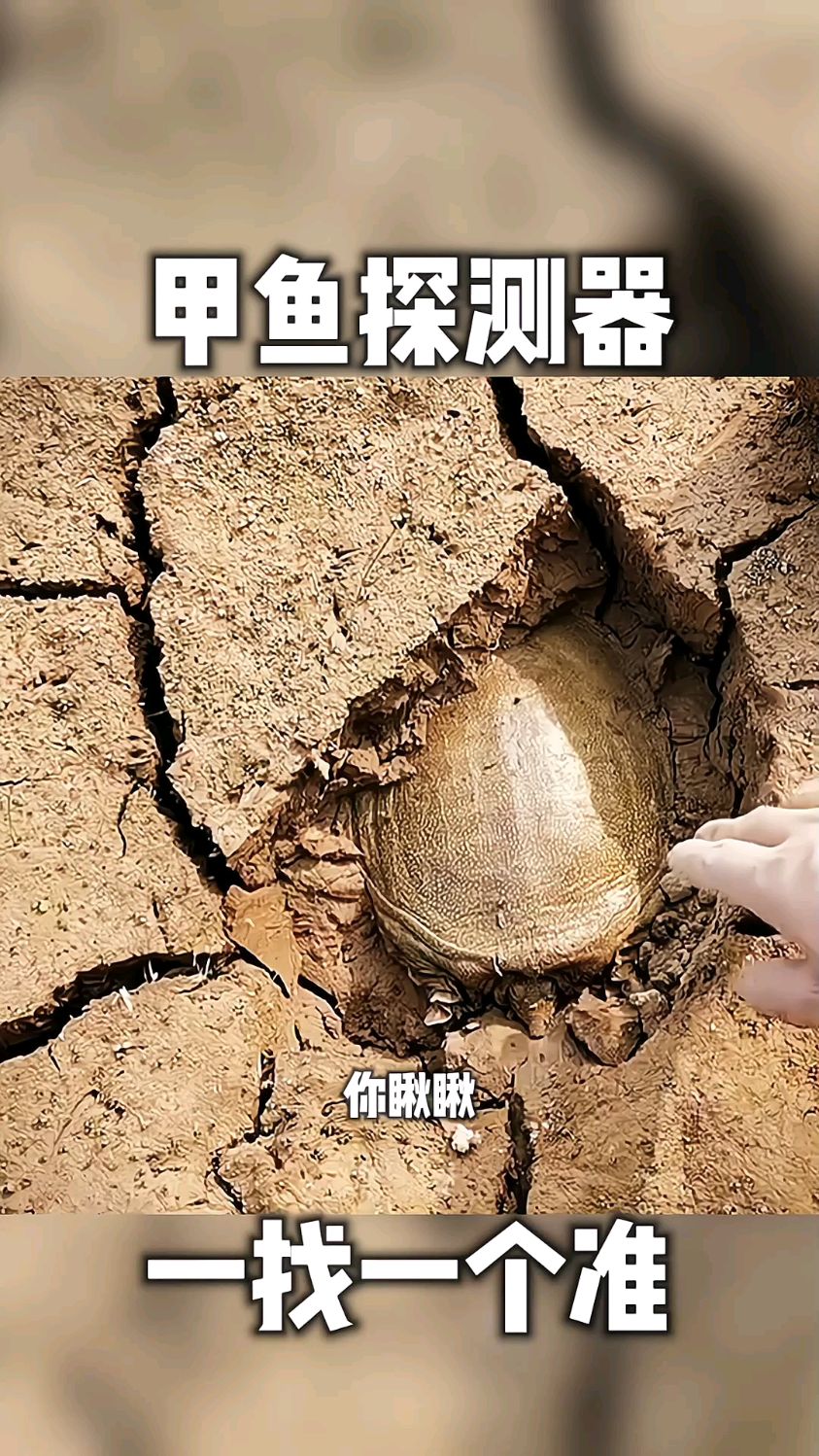 这大哥是有甲鱼探测器吗?