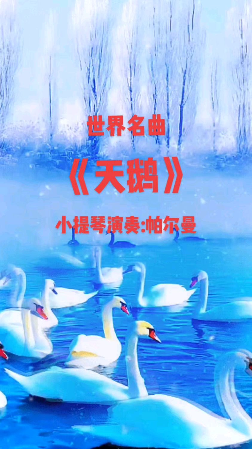 《天鹅》世界名曲 小提琴演奏:帕尔曼