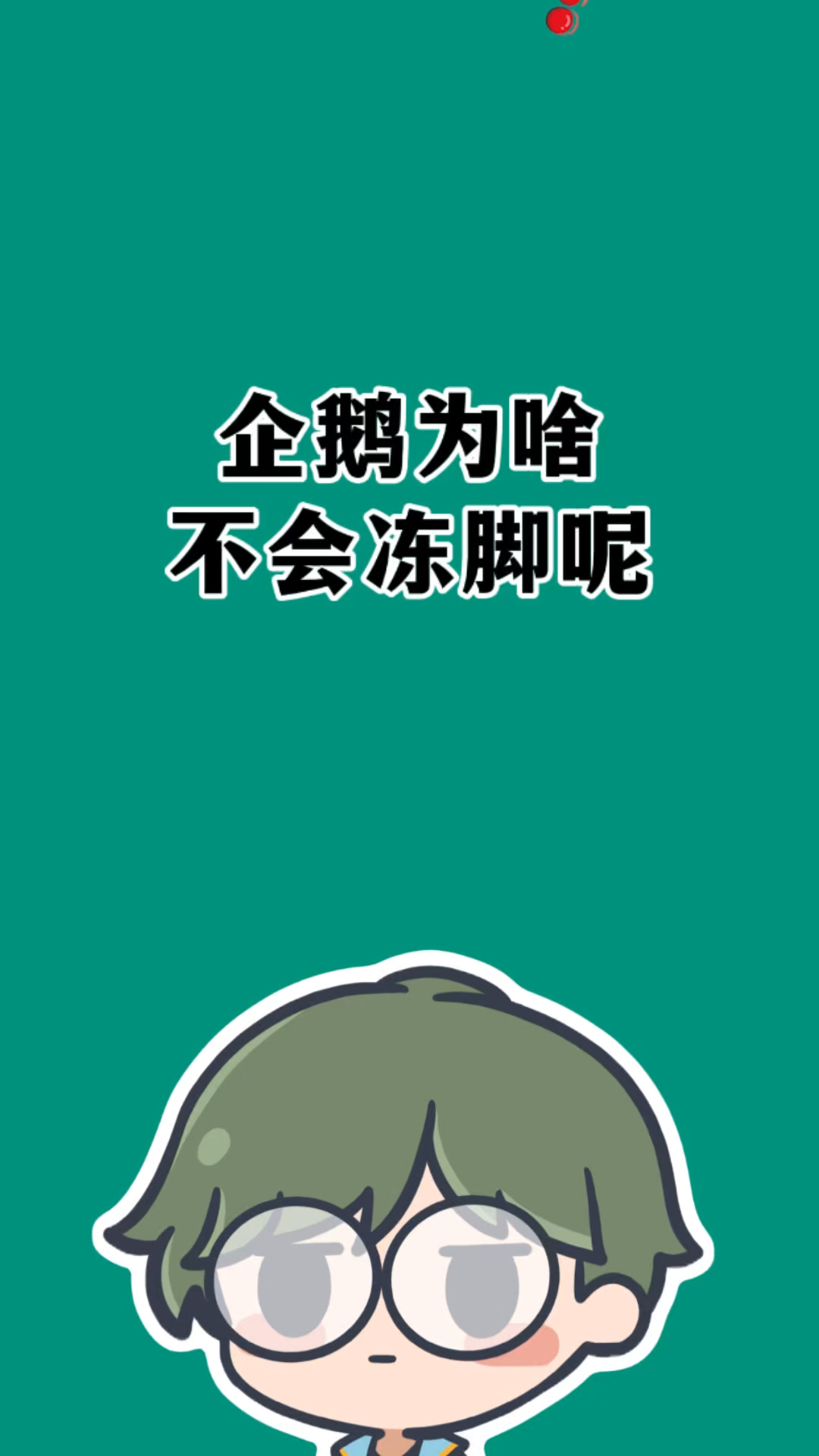 企鹅为啥不会冻脚?#有趣的冷知识