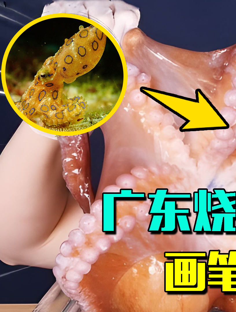 广东女人胆大!烧烤“蓝环章鱼”中毒,商家:自己没脑子怪谁?