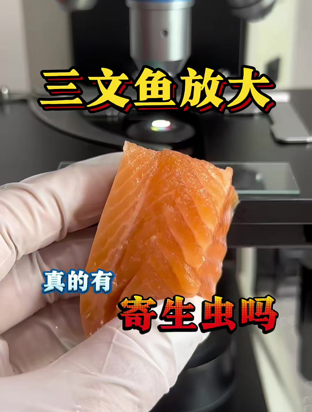 三文鱼放大是什么样子?