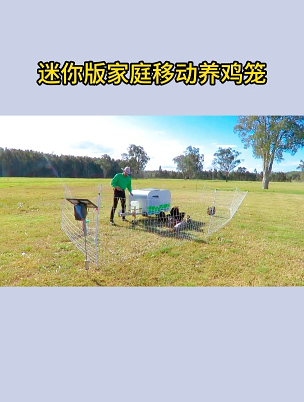 迷你版家庭移动养鸡笼,适合农村户外养鸡,省时省力!
